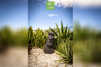 location appartement st-pierre 97410