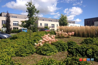 location appartement st-pol-sur-ternoise 62130