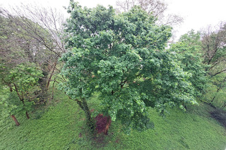 location appartement tassin-la-demi-lune 69160