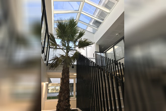 location appartement toulouse 31100