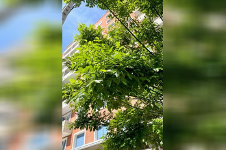 location appartement toulouse 31200