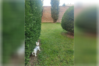 location appartement toulouse 31300