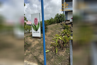 location appartement vauclin 97280