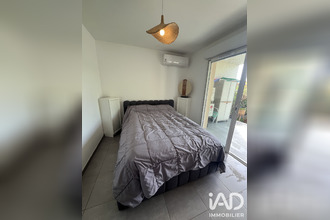 location appartement zonza 20144
