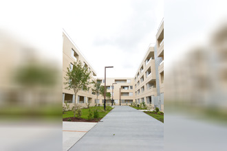 location divers bordeaux 33000