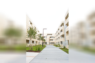 location divers bordeaux 33000