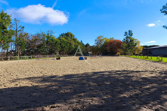 location divers fronton 31620