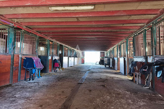 location divers fronton 31620