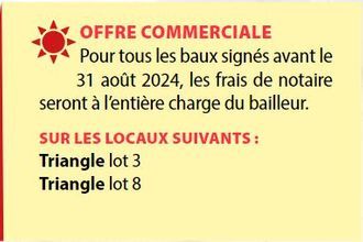 location localcommercial abymes 97139