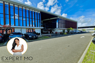 location localcommercial abymes 97139