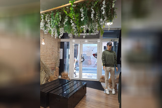 location localcommercial albi 81000