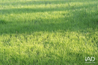 location localcommercial beaucouze 49070