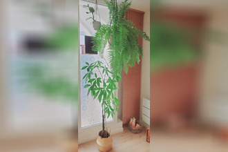 location localcommercial cadillac 33410