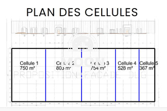 location localcommercial castres 81100
