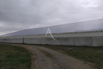 location localcommercial chavagnes 49380