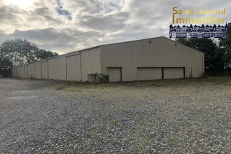 location localcommercial la-selle-en-luitre 35133