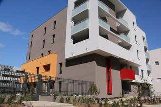 location localcommercial mtpellier 34000