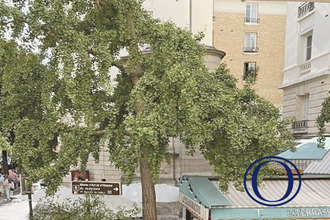 location localcommercial paris 75003