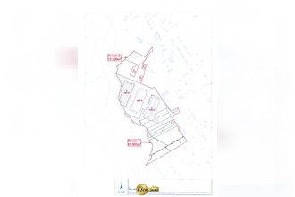 location localcommercial roppentzwiller 68480