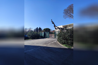 location localcommercial sete 34200