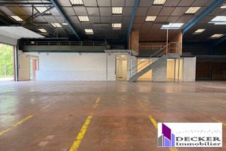 location localcommercial steinbg 67790