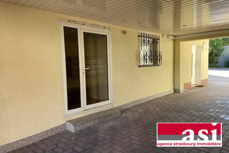 location localcommercial strasbourg 67100
