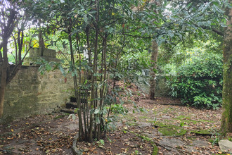 location localcommercial vannes 56000