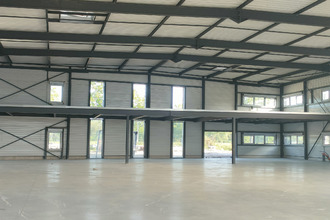 location localcommercial wolfisheim 67202