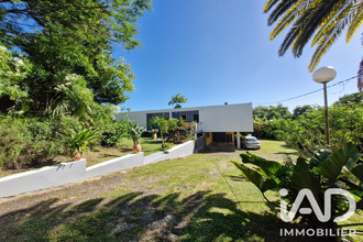 location maison abymes 97139