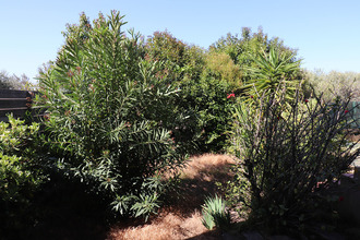 location maison ajaccio 20090