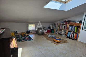 location maison albi 81000