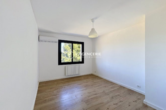 location maison albi 81000