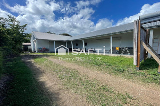 location maison basse-terre 97100