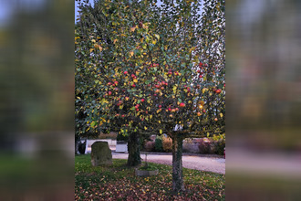 location maison beauzac 43590