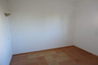 location maison borgo 20290
