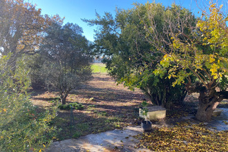 location maison caderousse 84860