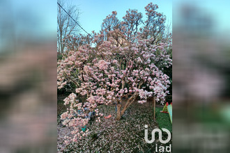 location maison cahors 46000