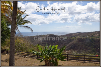 location maison case-pilote 97222