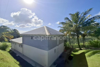 location maison case-pilote 97222