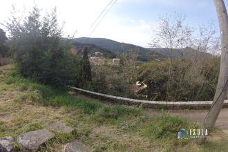 location maison cauro 20117