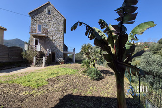 location maison cauro 20117