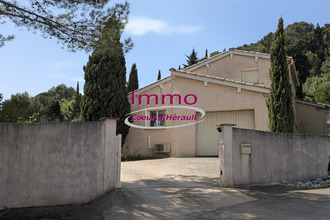 location maison clermt-l-herault 34800
