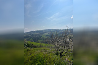 location maison cogny 69640
