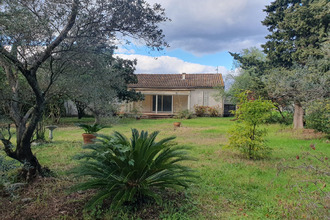 location maison ghisonaccia 20240