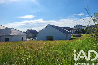 location maison haspelschiedt 57230