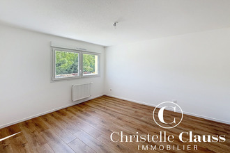 location maison issenheim 68500