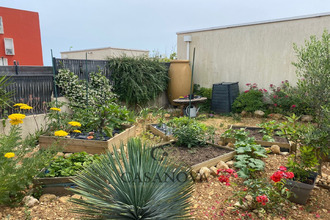 location maison juvignac 34990