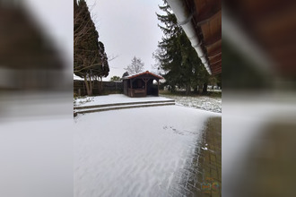 location maison la-wantzenau 67610