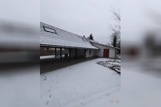 location maison la-wantzenau 67610