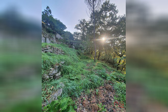 location maison laroque-timbaut 47340